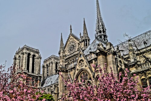 Notre Dame in Paris in einer Seitenansicht